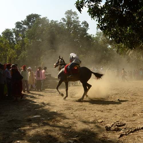 Фотография #13124319