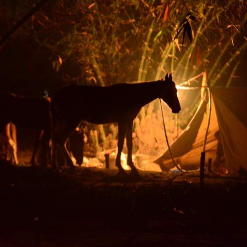 Фотография #13124353