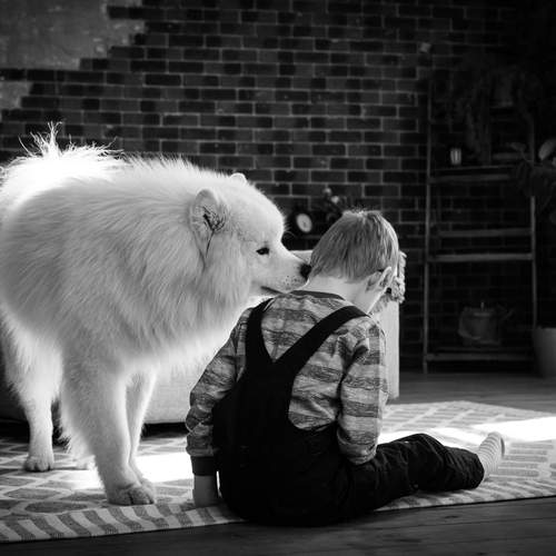 Photo #13124394