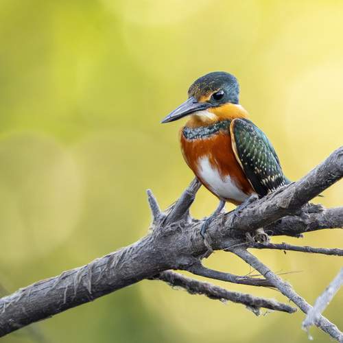 Фотография #13124553