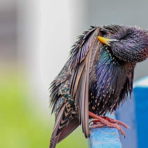 Photo #13124586