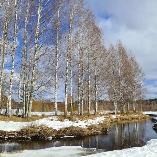 Photo #13124601