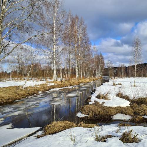 Photo #13124603