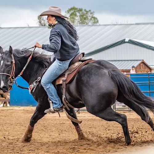 Photo #13124701