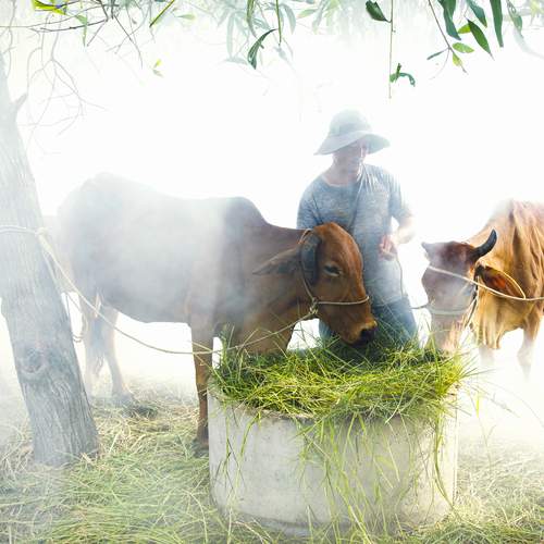 Photo #13124723