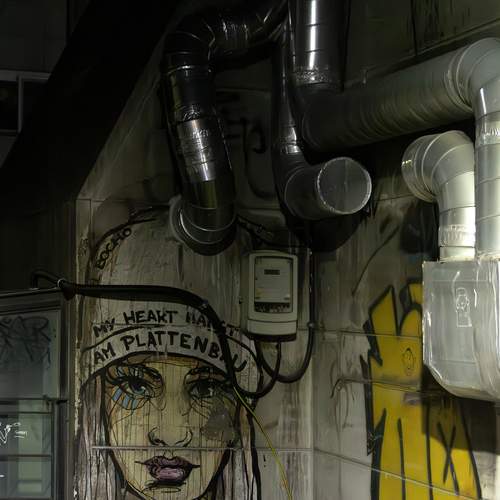 Photo #13124891