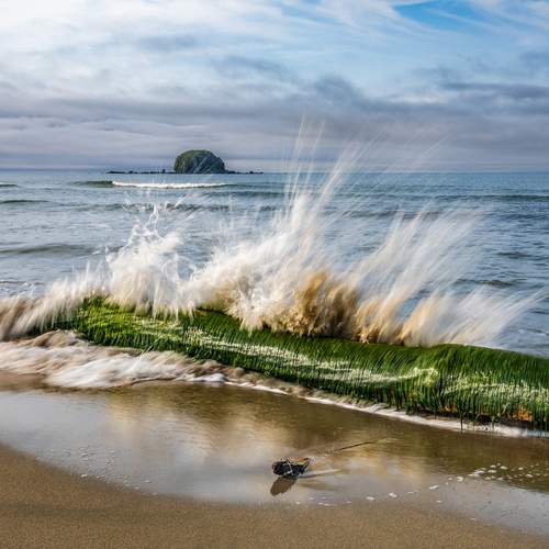 Фотография #13124899