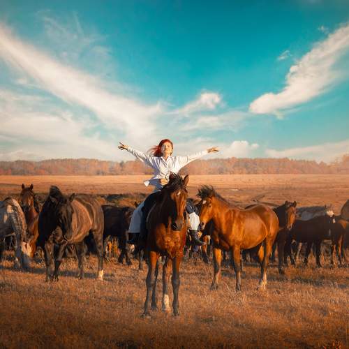 Photo #13124904