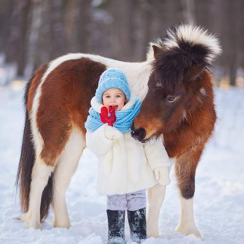 Photo #13124913