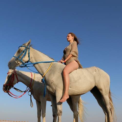 Photo #13124966