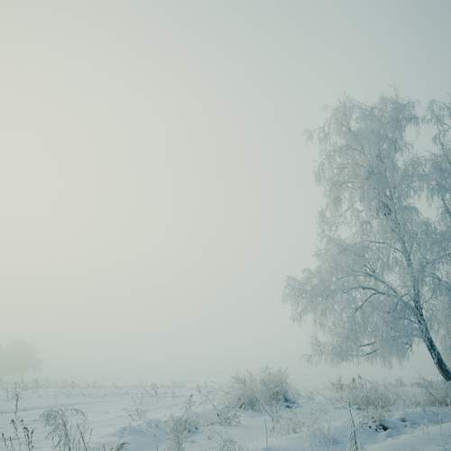 Photo #13125024