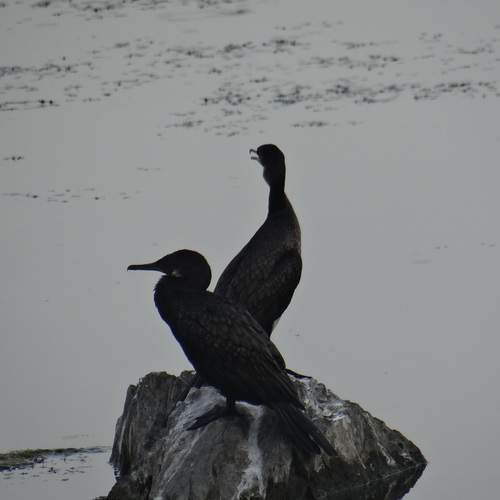 Photo #13125094