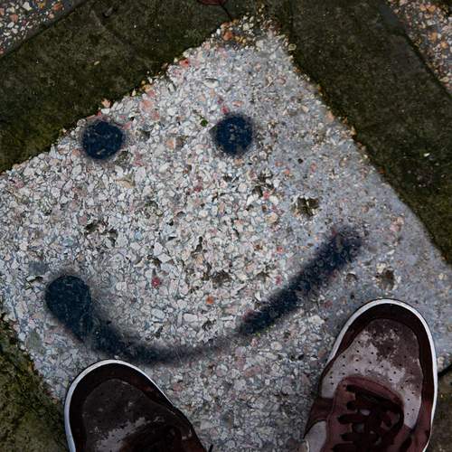 Photo #13125178