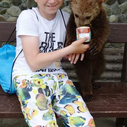 Photo #13125203