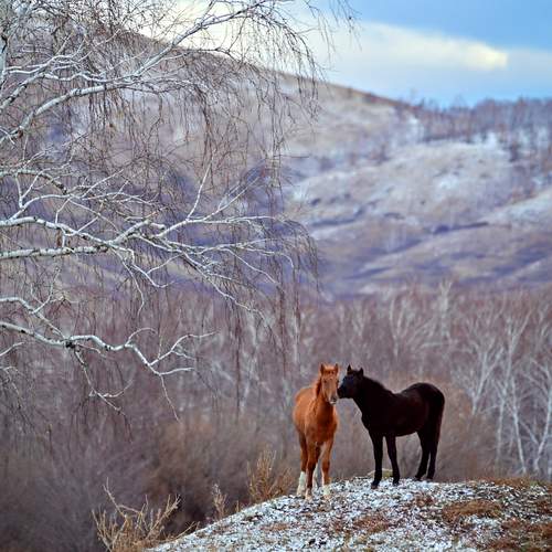 Photo #13125281
