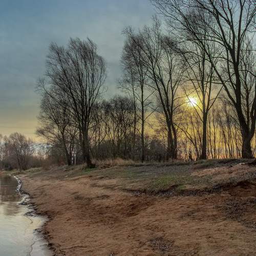 Photo #13125316