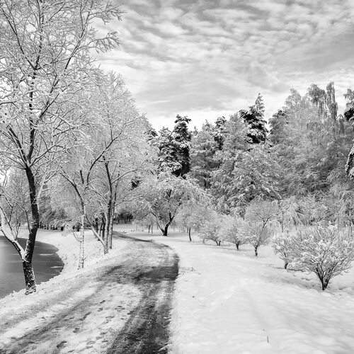 Photo #13125344