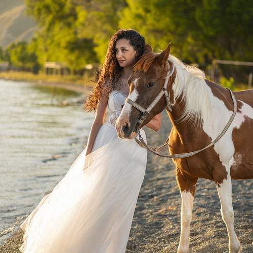 Photo #13125500