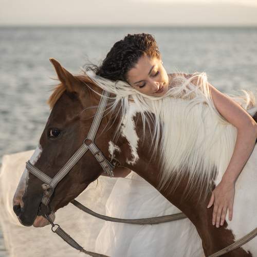 Photo #13125527