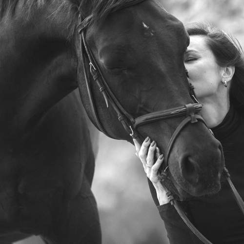 Это любовь.