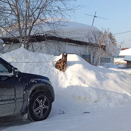 Photo #13125589