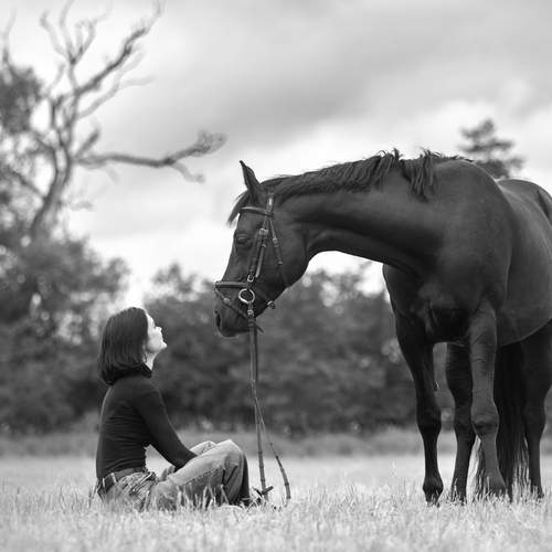 Фотография #13125623