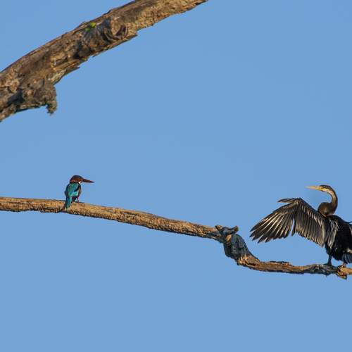 Photo #13125643