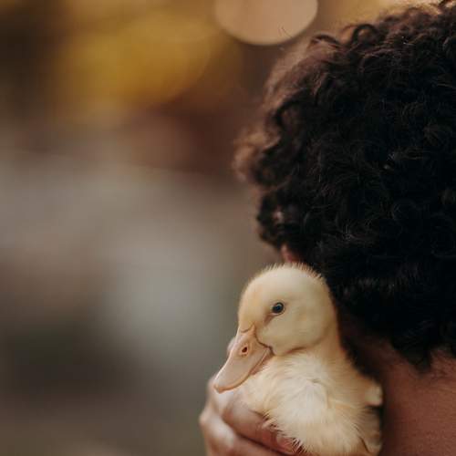 Photo #13125663
