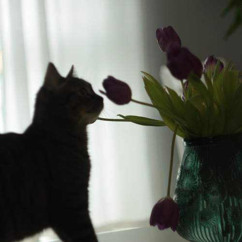 Photo #13125742