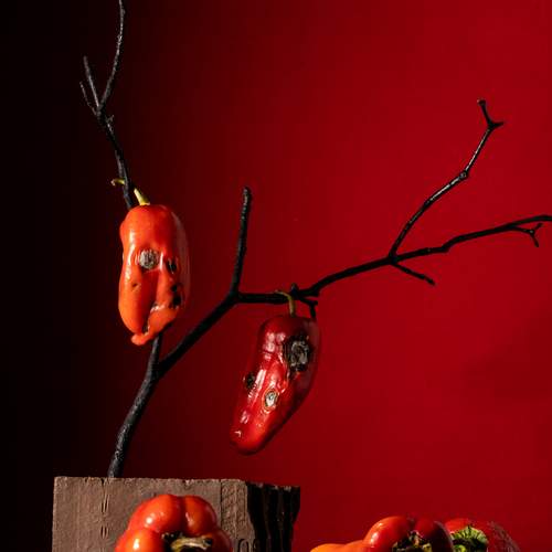 Фотография #13125837
