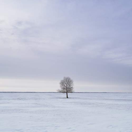 Photo #13125904