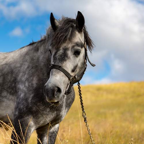 Фотография #13125961