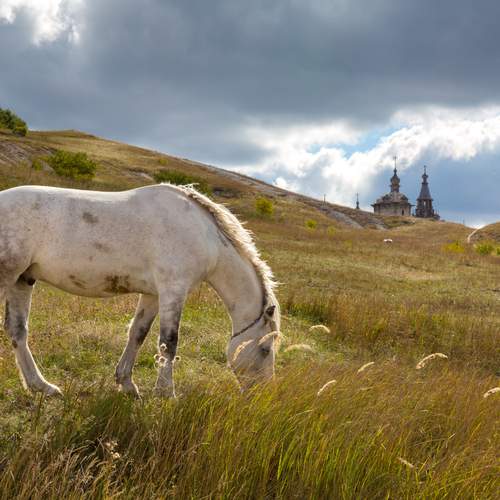 Фотография #13125962