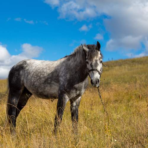 Фотография #13125963