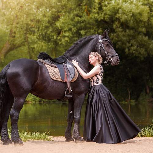 Photo #13126013