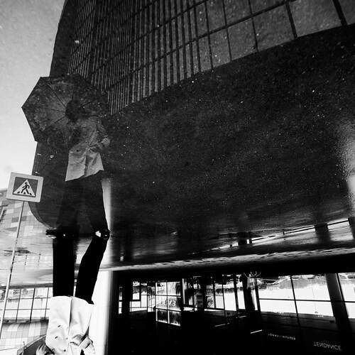Photo #13126039