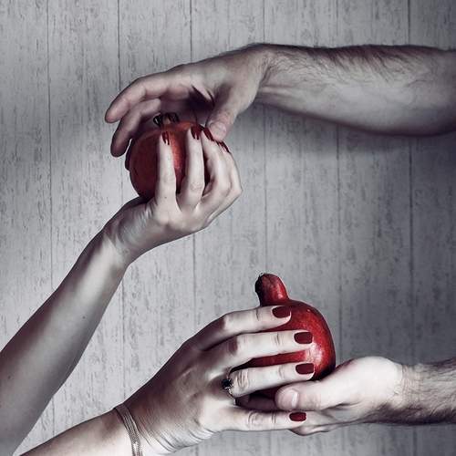 Photo #13126049