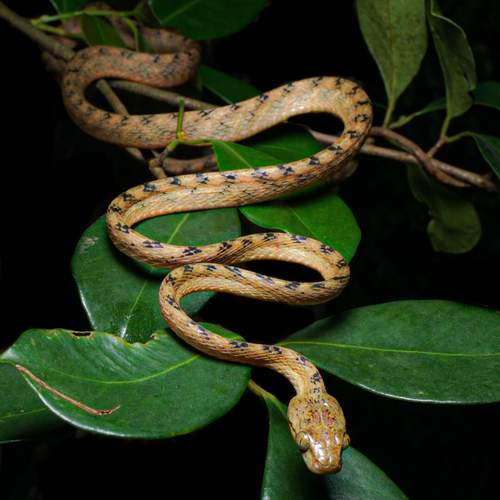 Photo #13126228