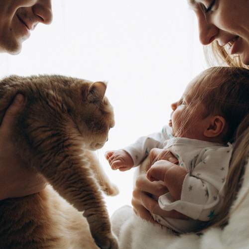 Photo #13126256