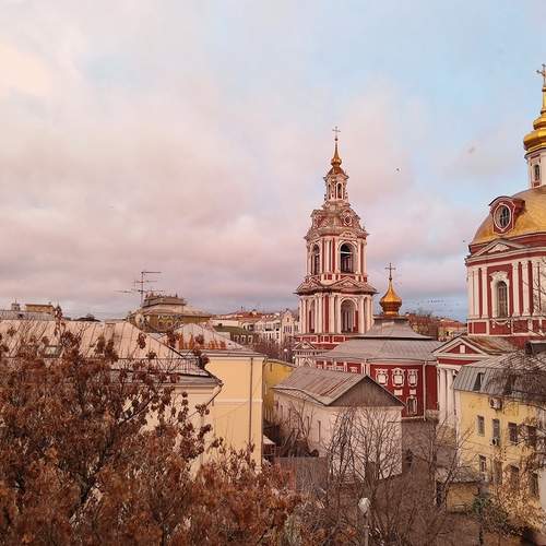 Photo #13126298