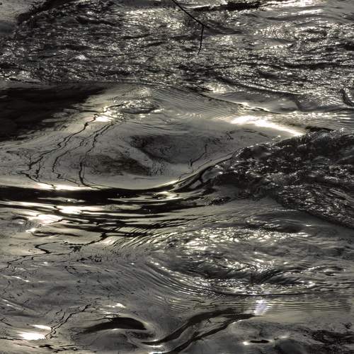 Photo #13126496