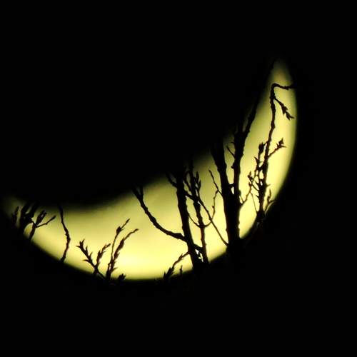 Photo #13126513