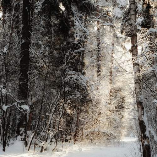 Photo #13126577