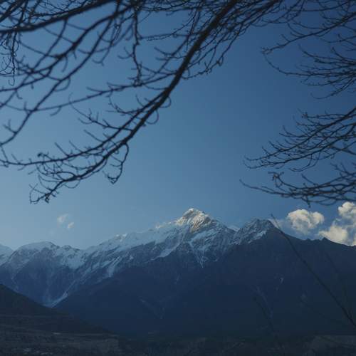 Photo #13126723