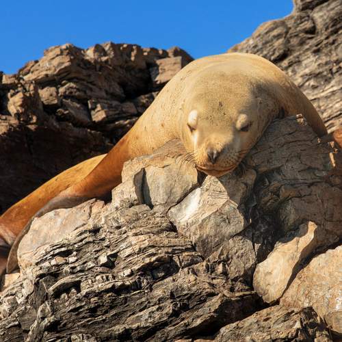 Photo #13126796