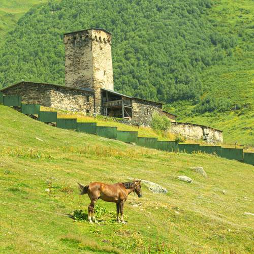 Photo #13126809