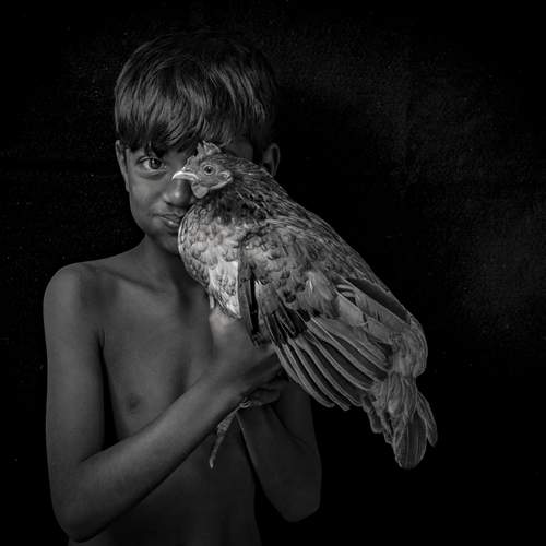 Фотография #13126892