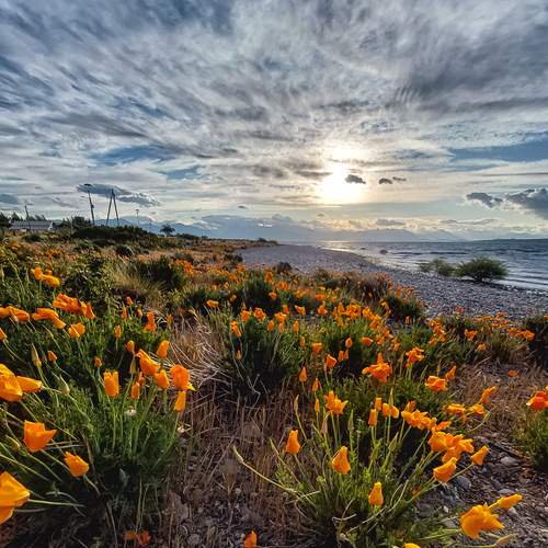 Photo #13127218