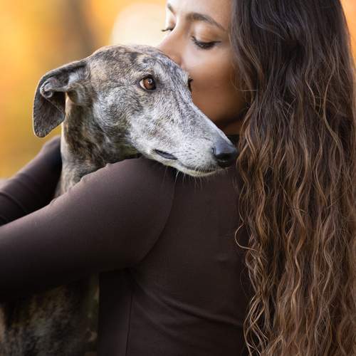 Photo #13127341