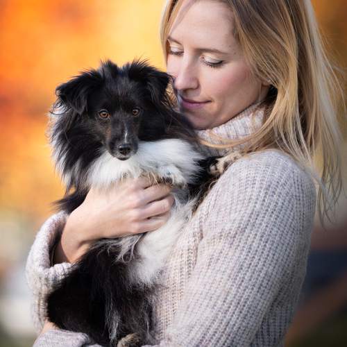 Photo #13127342
